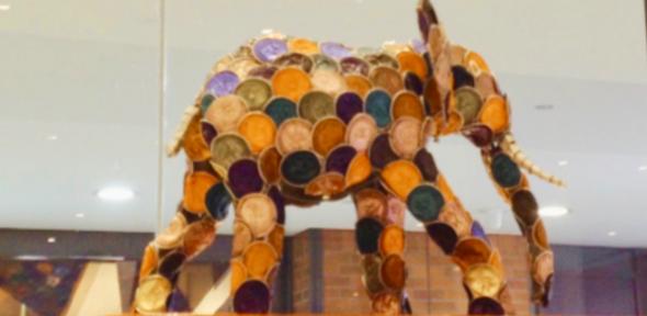 CiPlas Elephant main image - Global Culture - 590x288